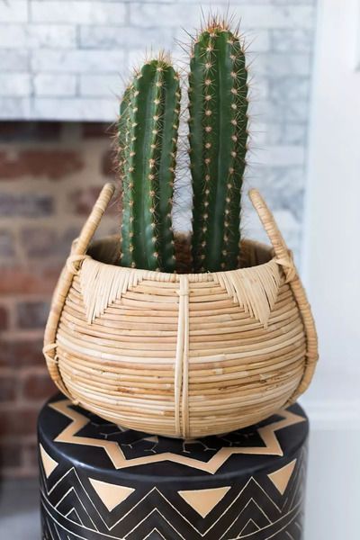 Product Image 3 for Small Cane Basket from Accent Decor