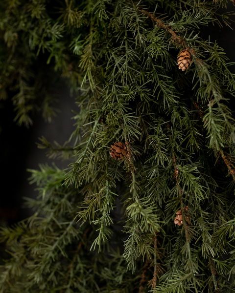 Oversized Faux Hemlock Wreath with Pinecones, 55" image 2