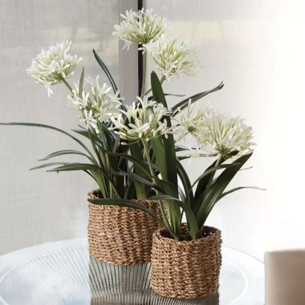Product Image 3 for Agapanthus Drop-In from Napa Home And Garden