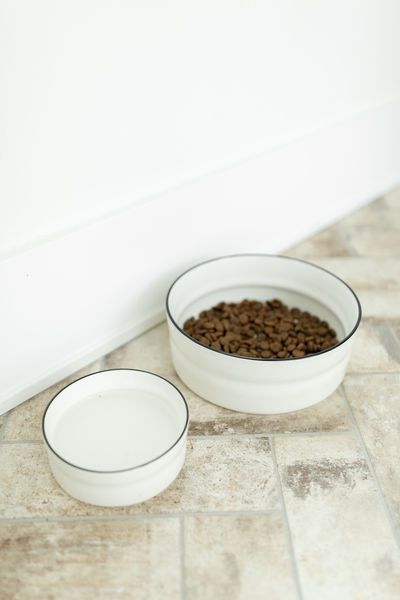 Esme Small Stoneware Pet Bowl image 4