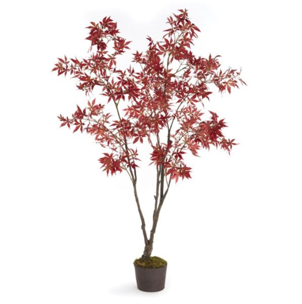 Product Image 2 for Red Maple Tree Drop In 84" from Napa Home And Garden