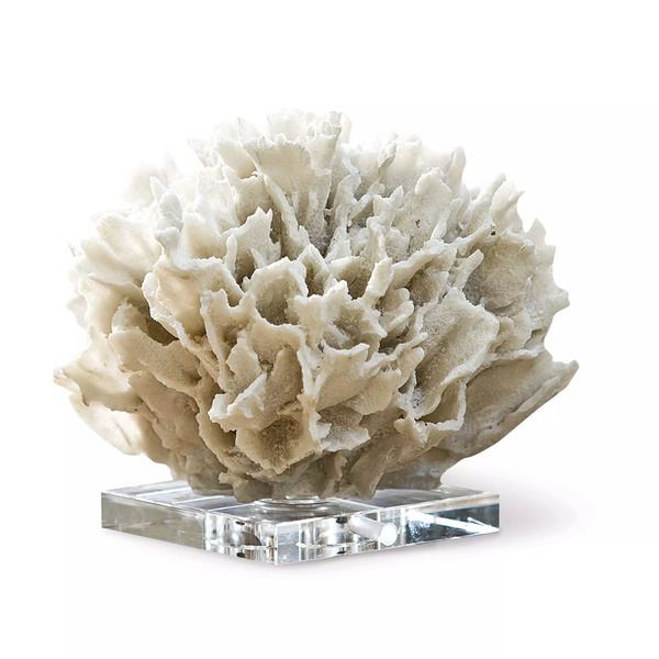 Product Image 1 for Ribbon Coral from Regina Andrew Design