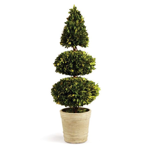 Product Image 2 for English Boxwood Double Sphere & Cone Topiary from Napa Home And Garden