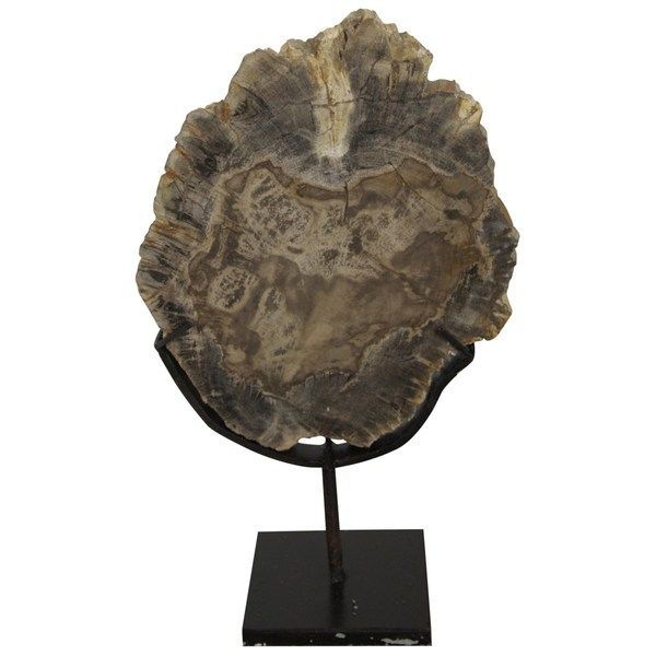 Product Image 1 for Wood Fossil With Stand from Noir