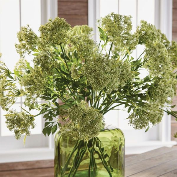 Product Image 2 for Queen Anne's Lace Stems, Set of 4 from SN Warehouse
