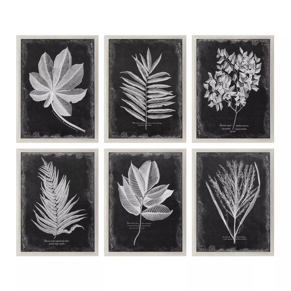 Product Image 2 for Uttermost Foliage Framed Prints, S/6 from Uttermost
