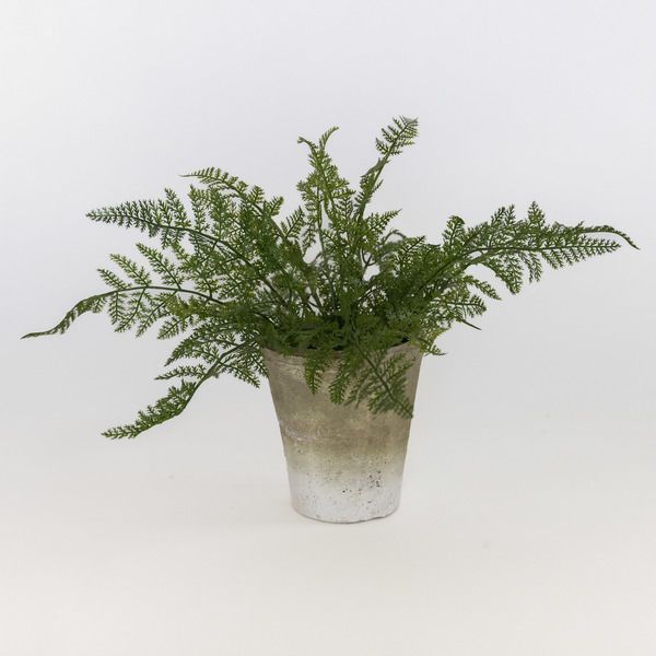 Natural Fern Drop-In image 2