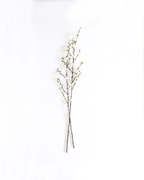 Product Image 3 for Gwendolyn Blossom Branches - 48", Bundle of 2 from Napa Home And Garden