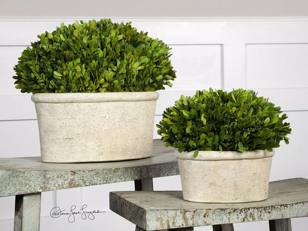 Product Image 2 for Uttermost Oval Domes Preserved Boxwood Set/2 from Uttermost