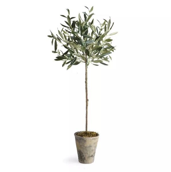 Product Image 3 for Olive Tree Potted 46" from Napa Home And Garden