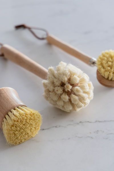 Product Image 2 for Winston Natural Wooden Dish Brush from Creative Co-Op