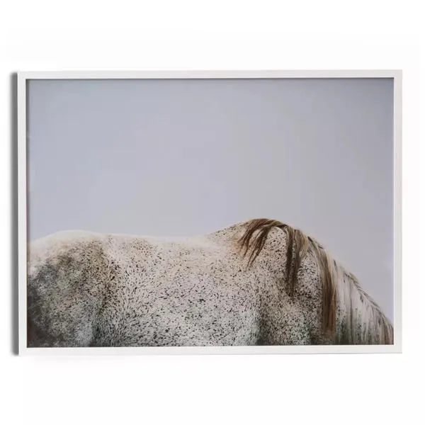 Product Image 1 for Graze from Four Hands