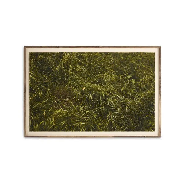 Product Image 1 for Verdants by Shade Degges - Rustic 2.5 Walnut from Four Hands