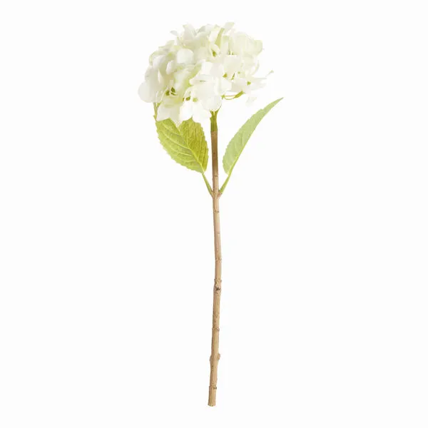 Product Image 1 for Hydrangea Stems , Set Of 6 from Napa Home And Garden