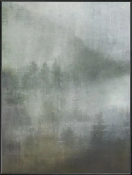 Product Image 1 for Mountain Mist II from Leftbank