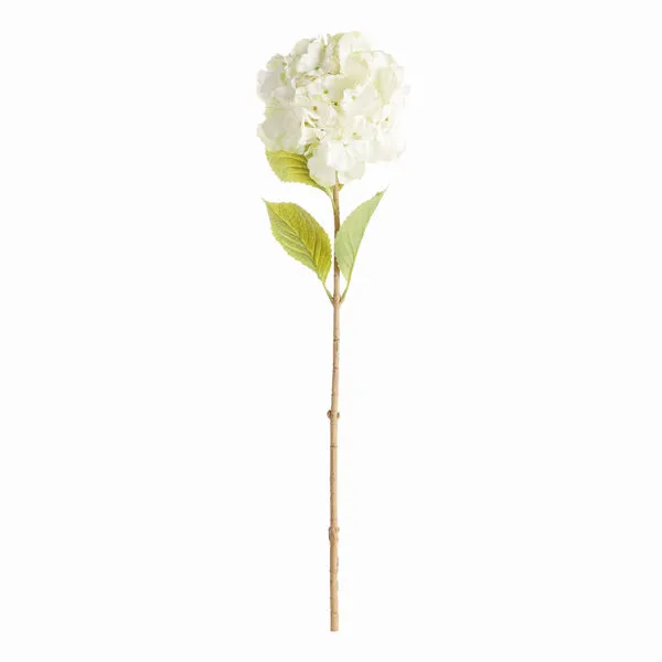 Product Image 1 for Mophead Hydrangea Stems , Set Of 4 from Napa Home And Garden