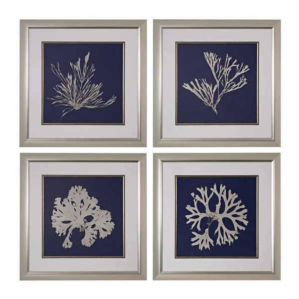 Product Image 1 for Seaweed On Navy I, Ii, Iii, Iv   Fine Art Giclee Under Glass from Elk Home