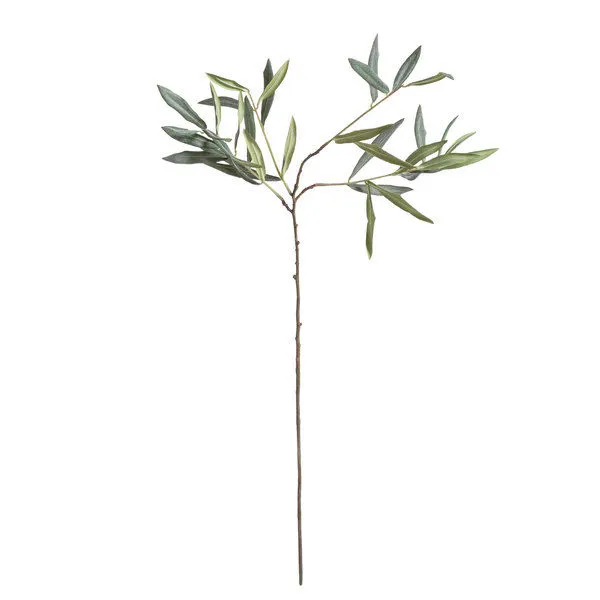 Product Image 1 for Olive Stems , Set Of 4 from Napa Home And Garden