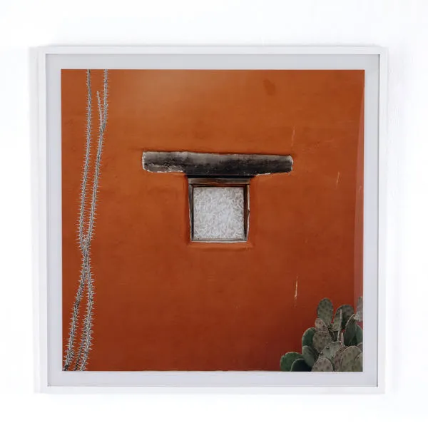 Product Image 1 for Desert Details By Kara Buse Framed Paper from Four Hands