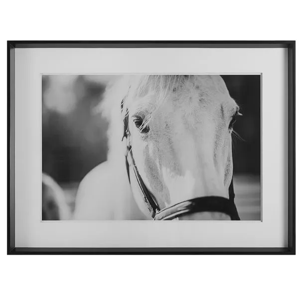 Product Image 1 for Eyes On The Prize Black & White Framed Horse Print from Uttermost