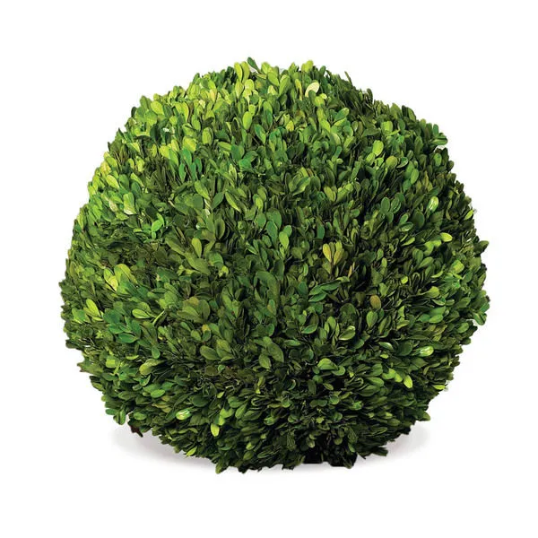 Product Image 1 for Boxwood Ball from Napa Home And Garden