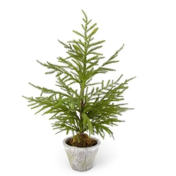 Product Image 1 for Aurora 30" Norfolk Pine Tree in Gray Pot from K&K Interiors