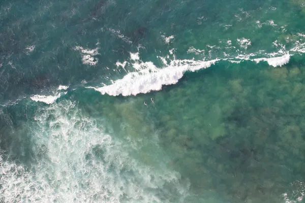 Product Image 1 for Duck Dive Art By Ryan Garvin from Ryan Garvin