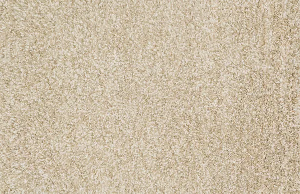 Product Image 1 for Cleo Shag Beige Rug from Loloi