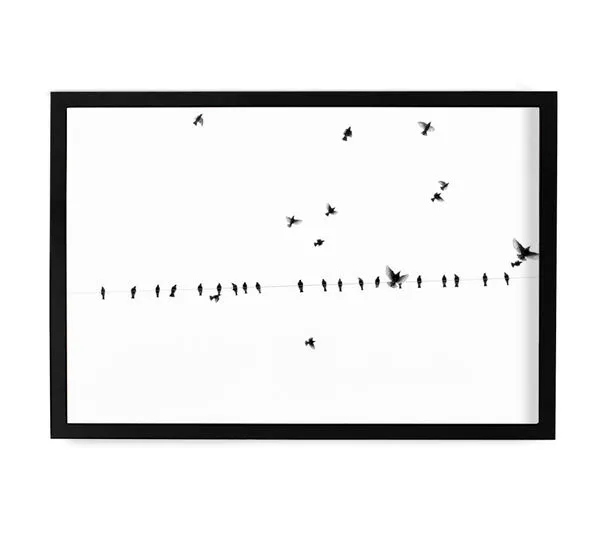 Product Image 1 for Fly By II Art By Ryan Garvin from Ryan Garvin