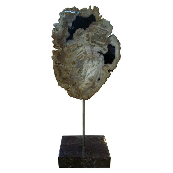 Product Image 1 for Petrified Wood Sculpture On Black Marble Base from Moe's