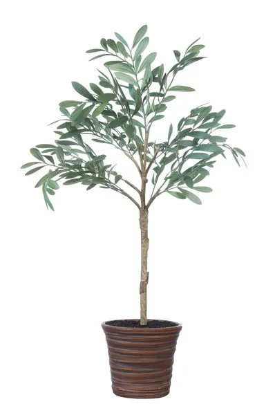 Product Image 1 for Potted Faux Olive Artificial Flower from Creative Co-Op