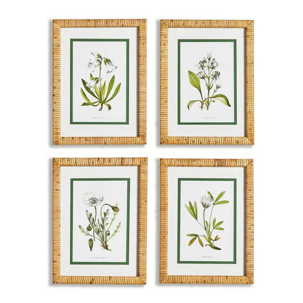 Product Image 1 for White Floral Study, Set Of 4 from Napa Home And Garden