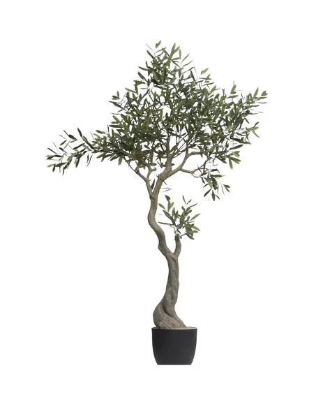 Product Image 1 for Potted Faux Olive Tree from Creative Co-Op
