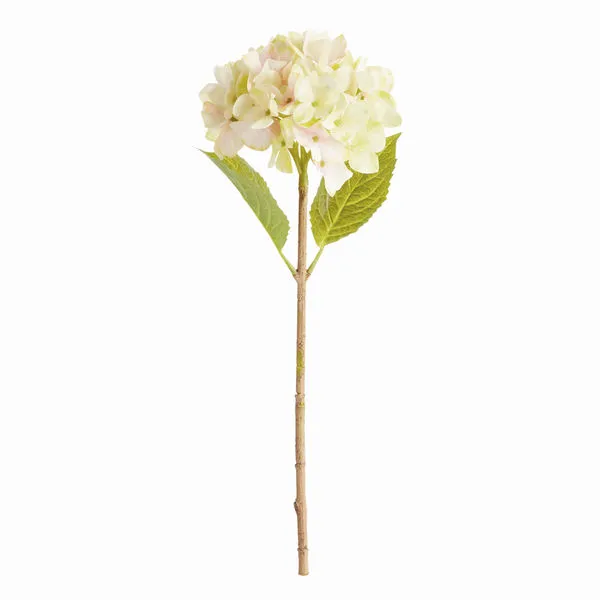 Product Image 1 for Hydrangea Stems , Set Of 6 from Napa Home And Garden
