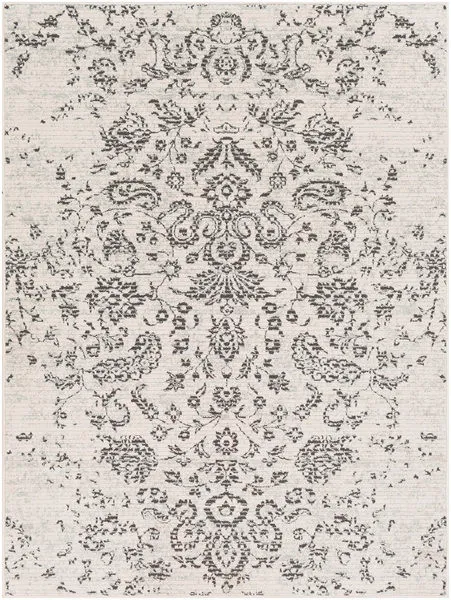 Product Image 1 for Bahar Charcoal / Beige Rug from Surya