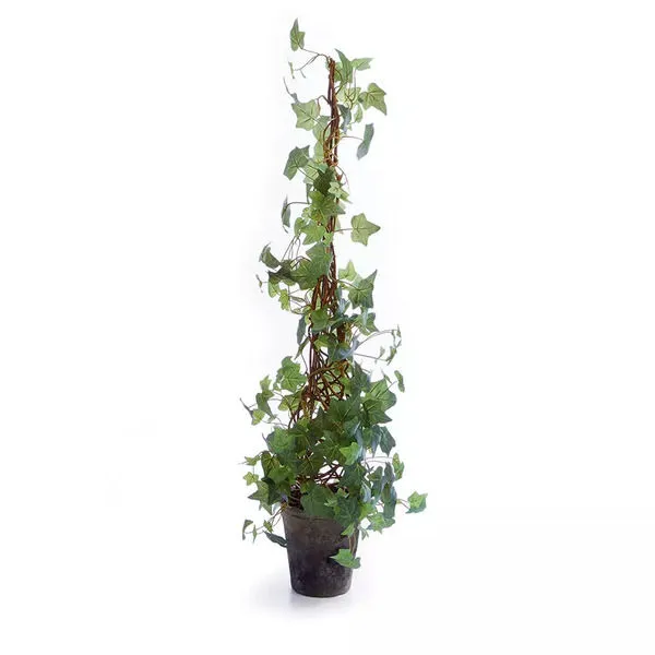 Product Image 1 for Ivy Cone Topiary Potted from Napa Home And Garden