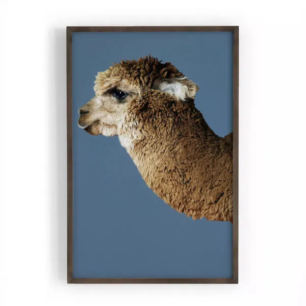Product Image 1 for Llama from Four Hands