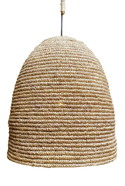 Product Image 1 for Dale Pendant Light from Dovetail Furniture