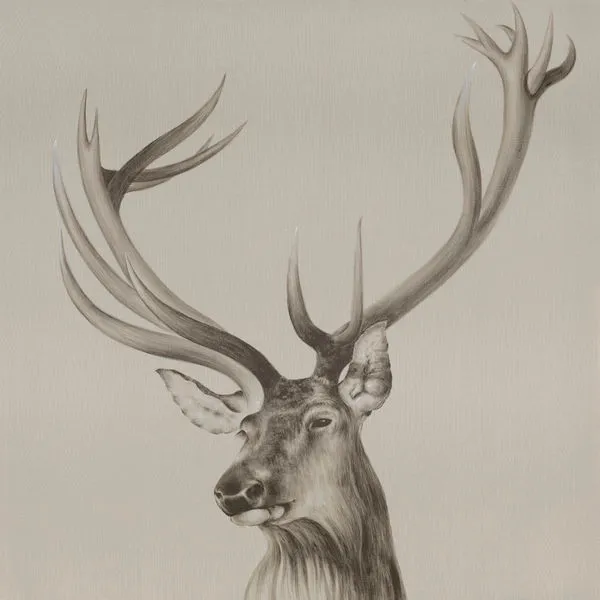 Product Image 1 for Roosevelt Elk Wall Décor from Moe's