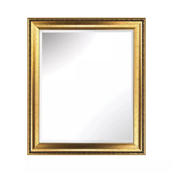 Product Image 1 for Lucrezia Composite Frame Wall Mirror In Gibson Gold from Elk Home