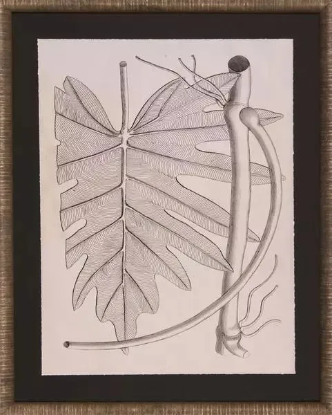 Product Image 1 for Lively Leaves I Art from Shadow Catchers