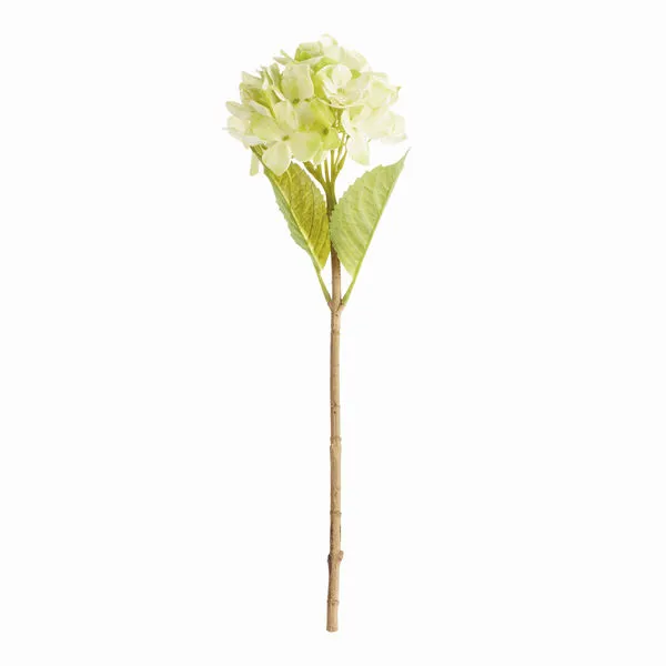Product Image 1 for Hydrangea Stems , Set Of 6 from Napa Home And Garden