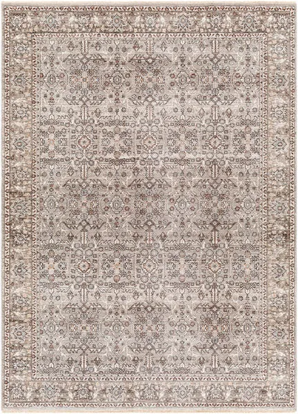 Product Image 1 for Carlisl Gray / Brown Rug from Surya