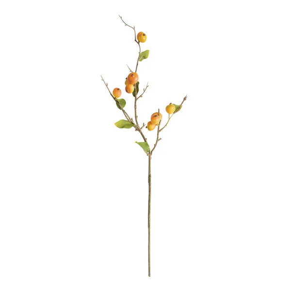 Product Image 1 for Crabapple Stems, Set of 6 from Napa Home And Garden