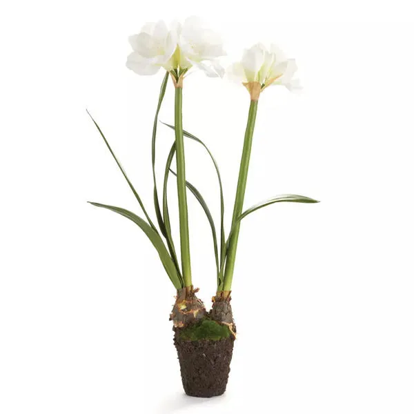 Product Image 1 for Double Amaryllis Drop In 37" from Napa Home And Garden