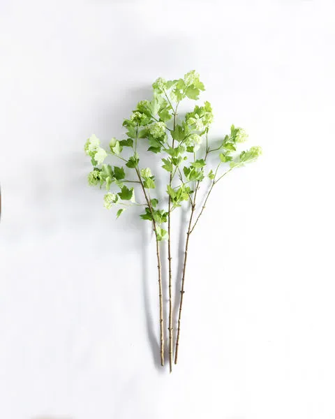 Product Image 2 for Phoebe Snowball Branches - 49", Bundle of 3 from Napa Home And Garden