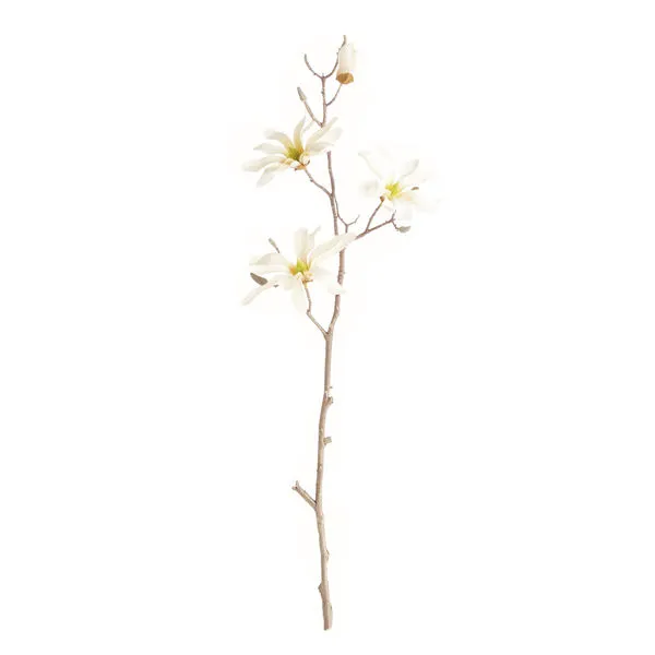 Product Image 1 for Star Magnolia Branches , Set Of 6 from Napa Home And Garden