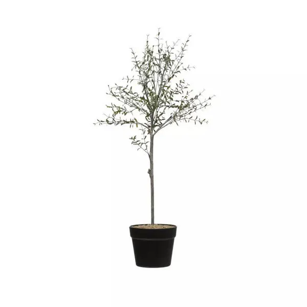Product Image 1 for Faux Thyme Topiary In Pot from Creative Co-Op