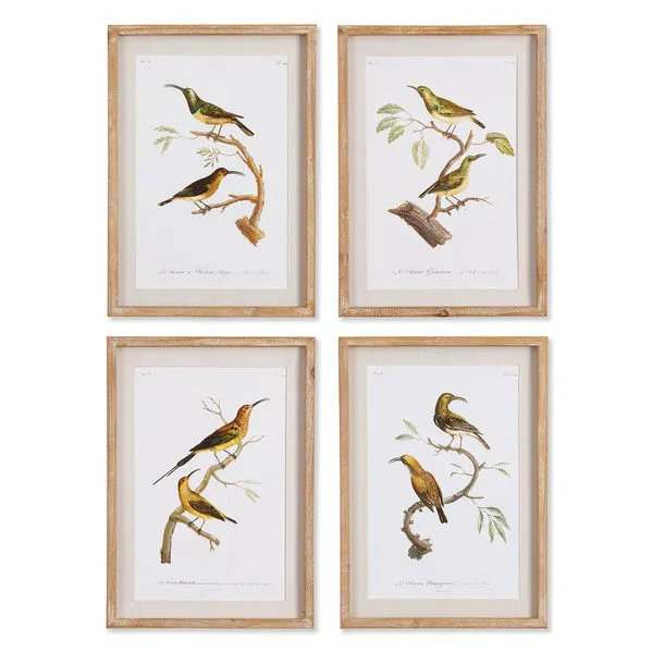 Product Image 1 for Sunbird Study, Set Of 4 from Napa Home And Garden