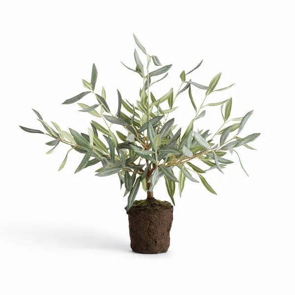 Product Image 1 for Olive Tree Drop-In from Napa Home And Garden